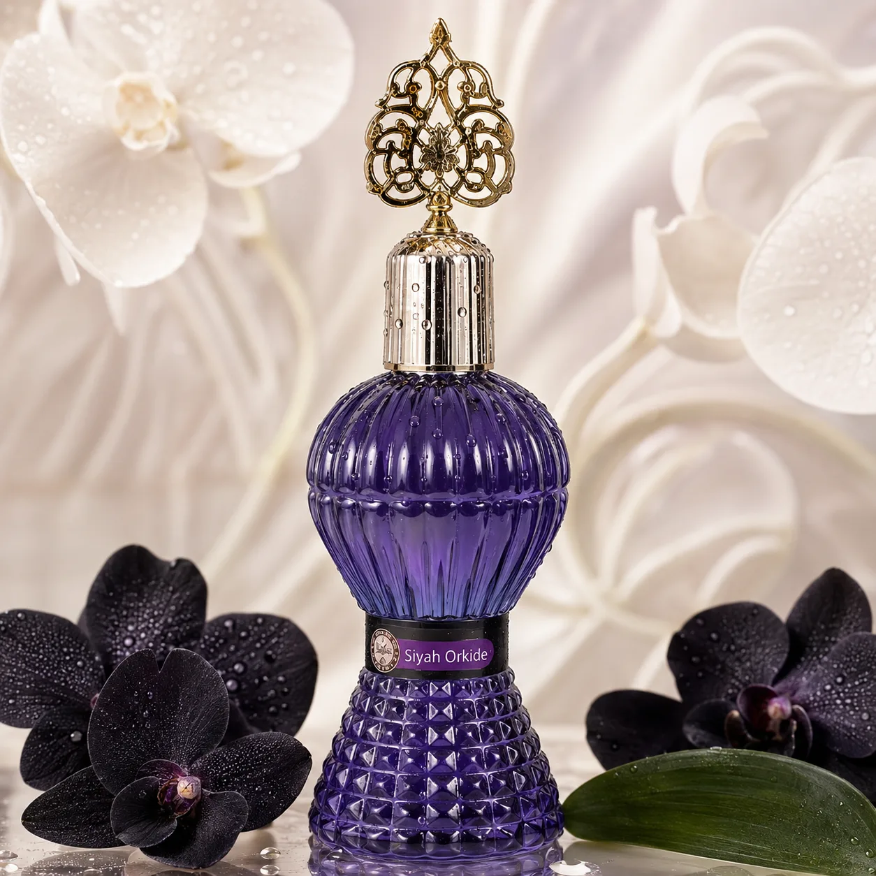 Siyah Orkide Kolonyası 300 ml